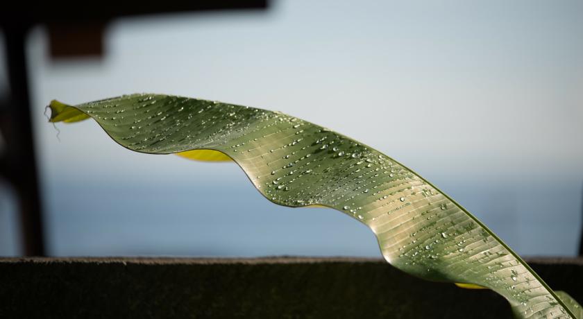 Фото 
Falaj Daris Hotel
