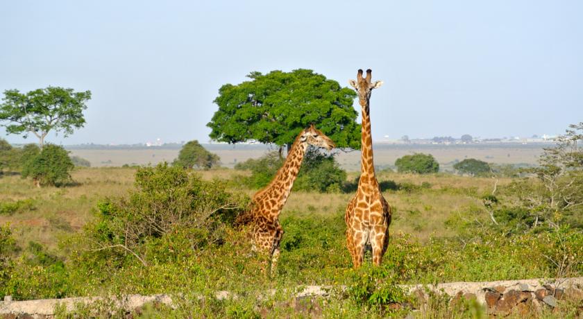 Фото 
Planet Apartments
