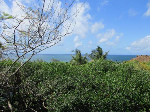 Фото 
Hafnarstræti 77 Guesthouse
