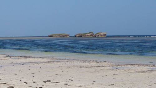 Фото 
Airport Hotel Aurora Star
