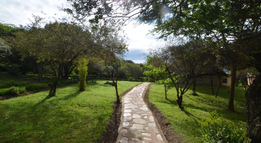 Фото 
The Old Apothecary
