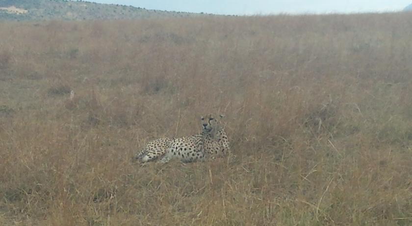 Фото 
Grundarfjördur Hostel
