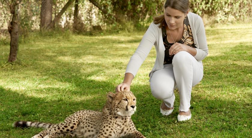 Фото 
Héradsskólinn Boutique Hostel
