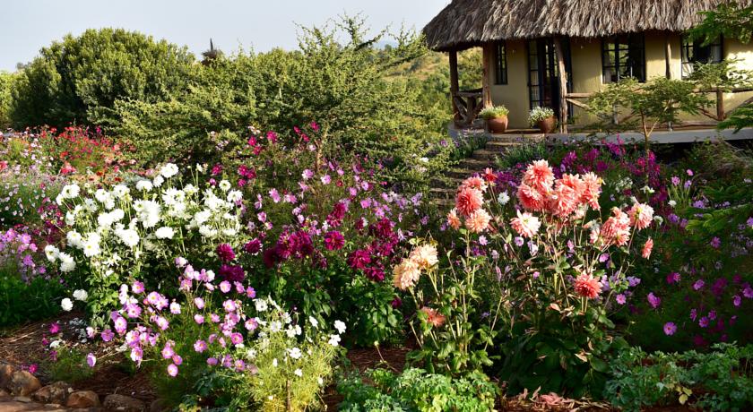 Фото 
Laugarvatn Hostel
