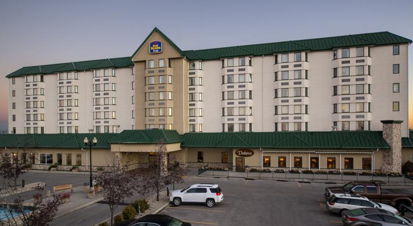 Фото 
Anthurium Apartment
