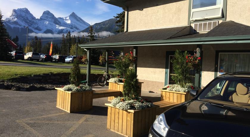 Фото 
Sunny Garden
