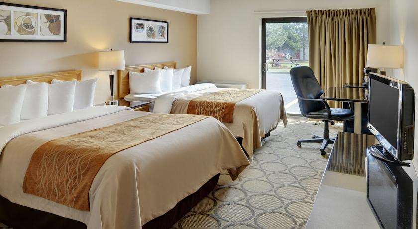 Фото 
Aviavy Hotel
