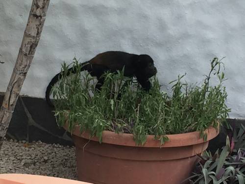 Фото 
Aleph Boutique Hotel
