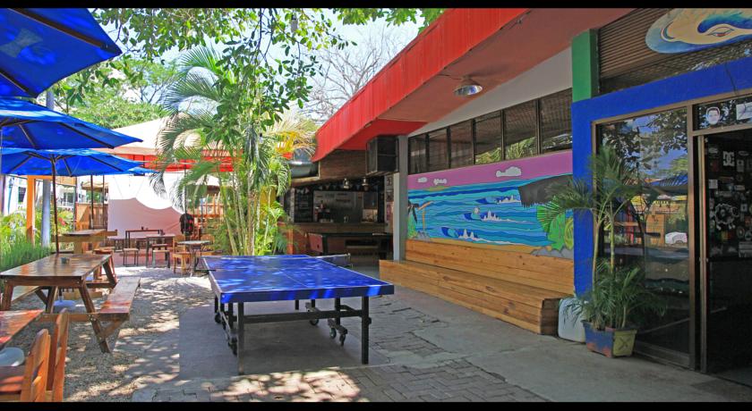 Фото 
CentreToni Arida
