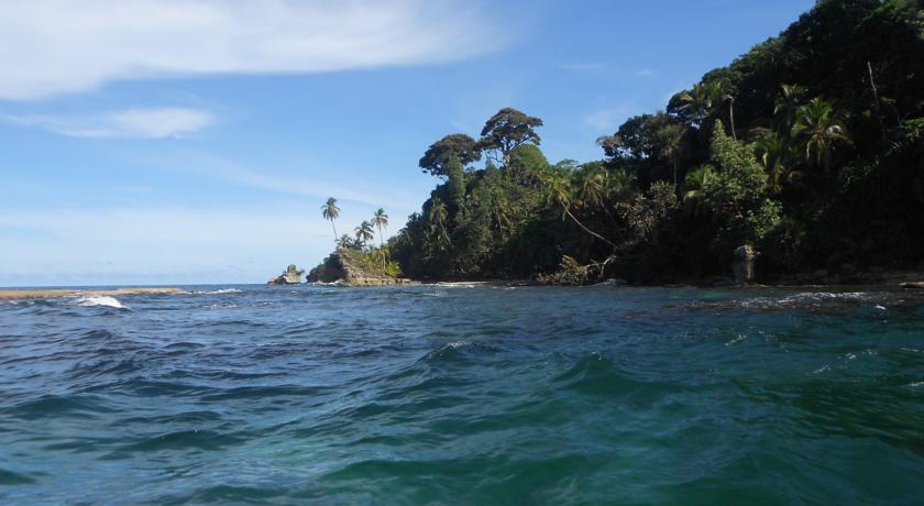 Фото 
Dynasty Suite
