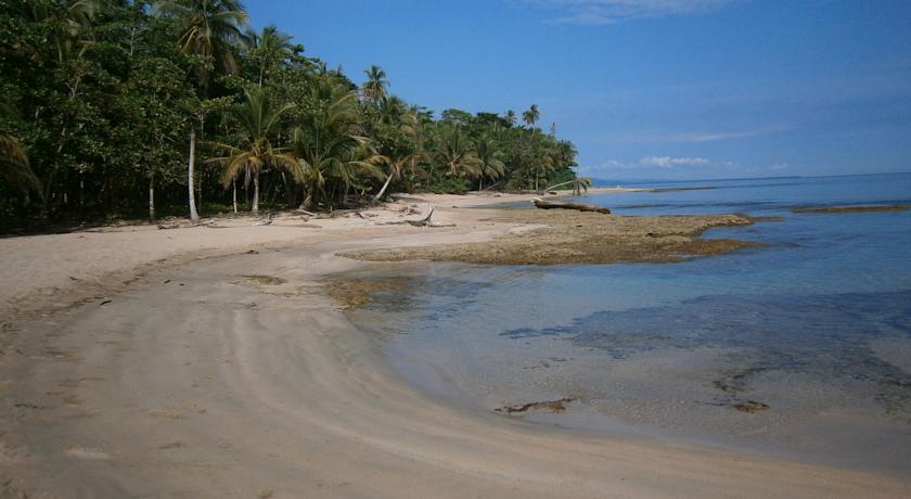 Фото 
Golden Tulip Lili&#39;s Resort & Spa
