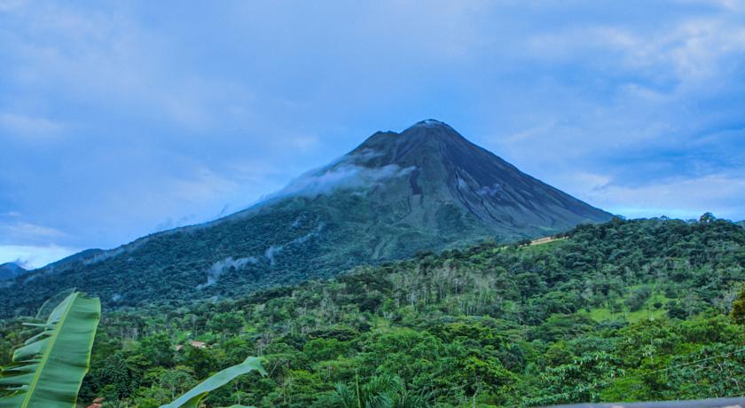 Фото 
Villa Delenda
