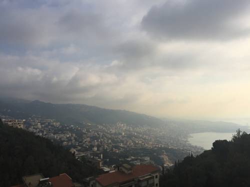 Фото 
Sunscape Cove Montego Bay Resort and Spa
