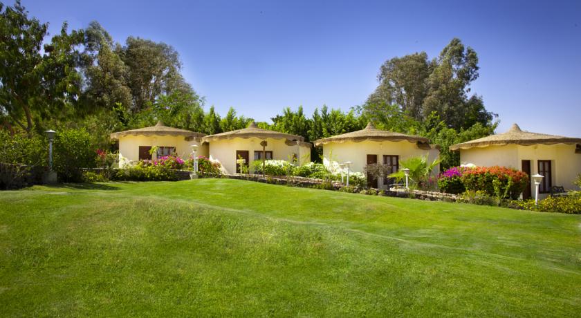 Фото 
Camel Dive Club & Hotel - Boutique Hotel
