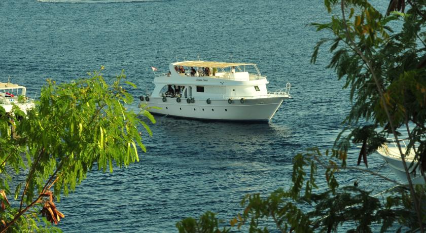 Фото 
Domina Hotel & Resort Harem
