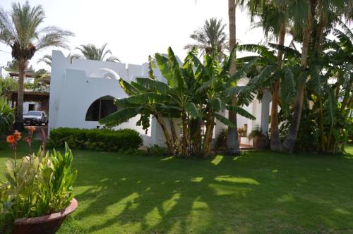 Фото 
Farida Apartments
