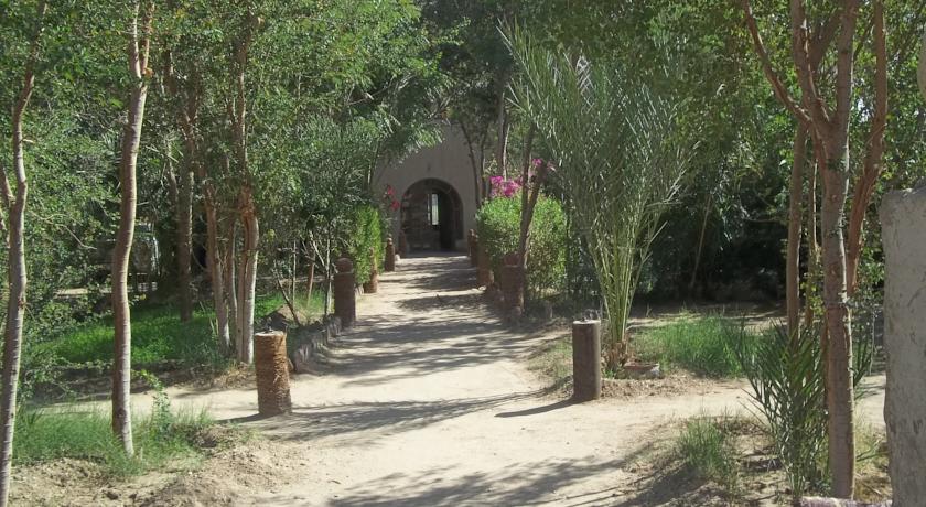 Фото 
Venus Hostel
