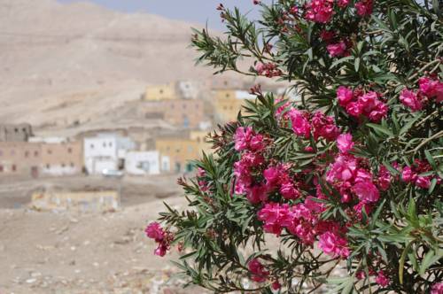 Фото 
Two-Bedroom Apartment at Porto Sokhna - Unit 10506
