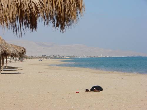 Фото 
Divers House
