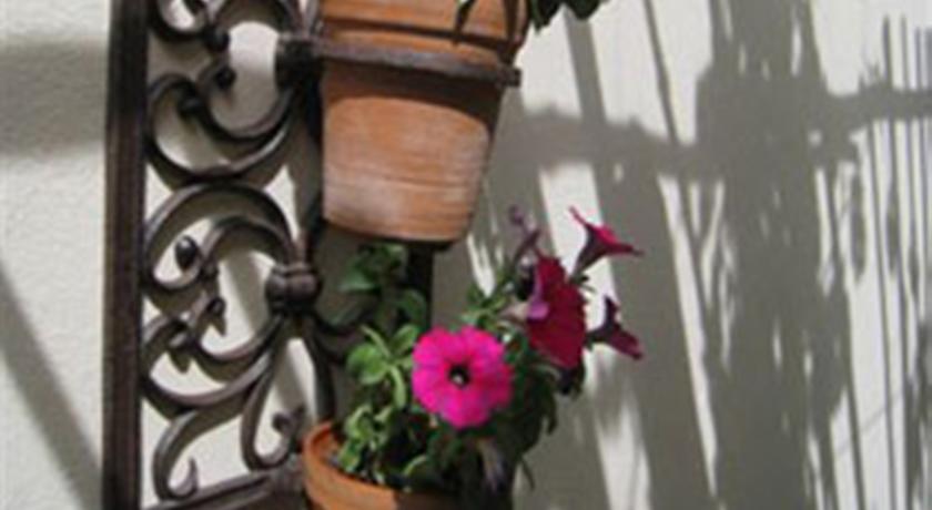 Фото 
Coral Princess Hotel
