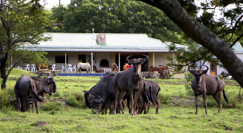 Фото 
Costa Bahia Hotel and Convention Center
