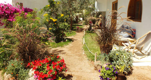 Фото 
Romance Alexandria Cornich
