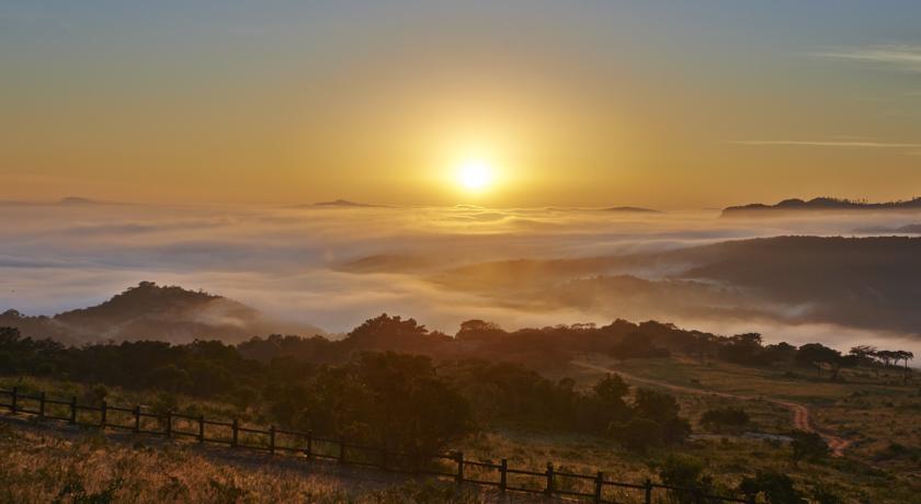 Фото 
Sunview Condos
