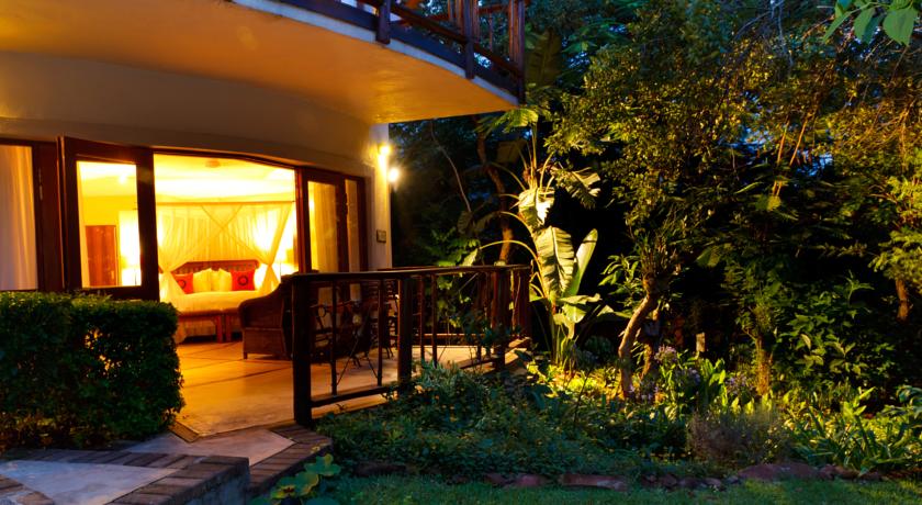 Фото 
Red Clover
