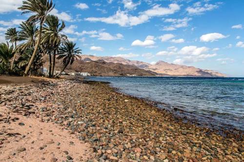 Фото 
Asafra Hotel Apartments
