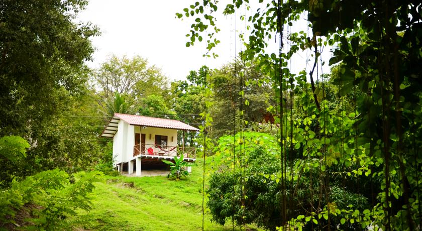 Фото 
Arsma Hotel
