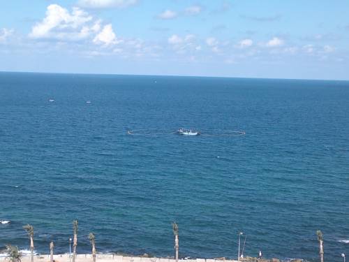 Фото 
Villa El Nakheel
