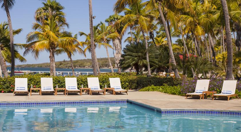 Фото 
Camellia B&B
