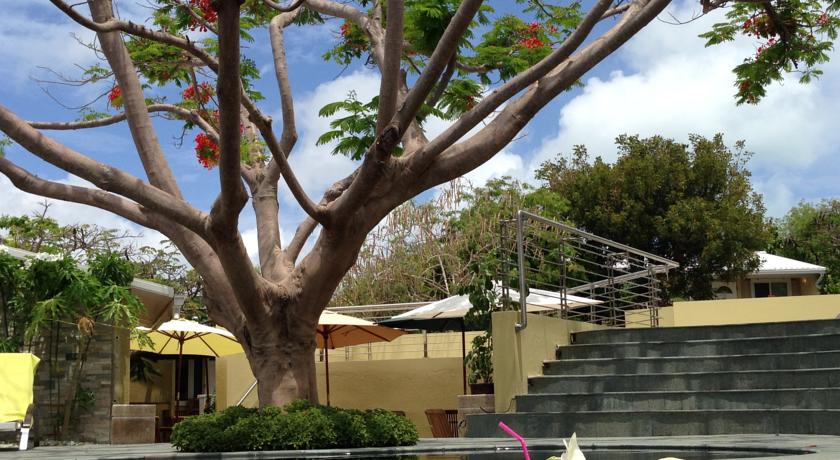 Фото 
Dreamer24 B&B
