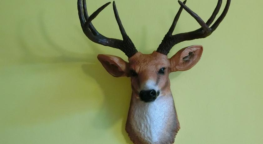 Фото 
Гостиница Мехнат 
