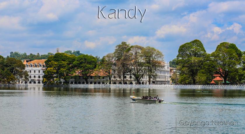 Фото 
Vibration Hotel
