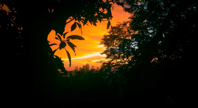 Фото 
Whitepearl Beach
