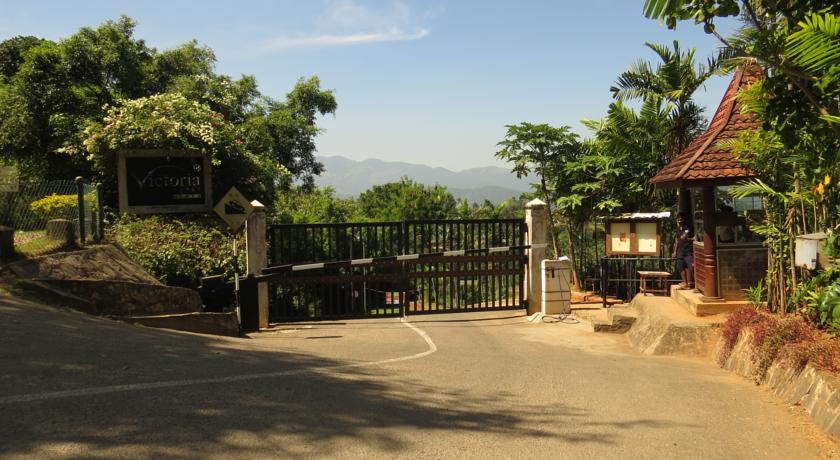 Фото 
Vesma Villas
