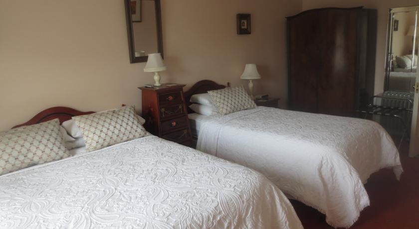 Фото 
Tropical T
