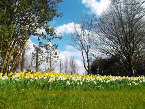 Фото 
Hotel Kabic Beach Club
