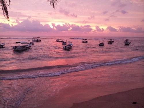 Фото 
Villa Extra
