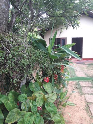 Фото 
Kohomba Villa
