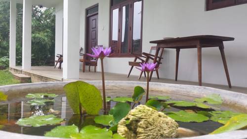 Фото 
Disna Place
