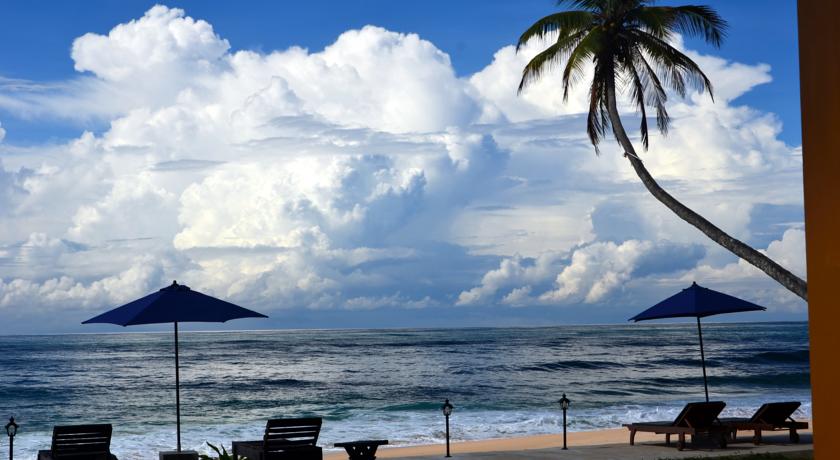 Фото 
Black Beauty Guesthouse
