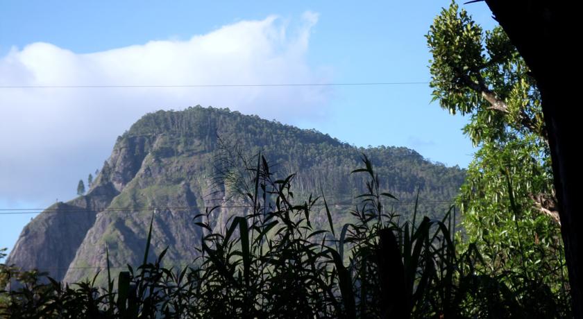 Фото 
Pasla Hotel
