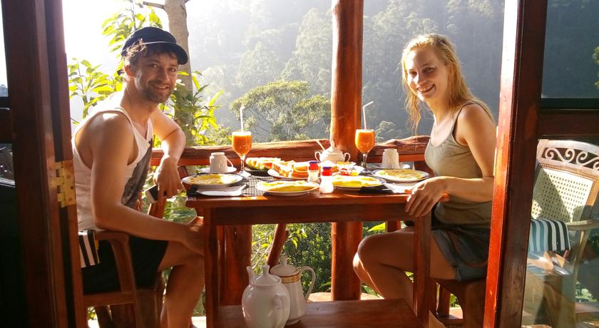 Фото 
Rose Garden Ella
