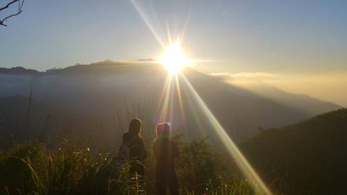 Фото 
Sudumal Cottage
