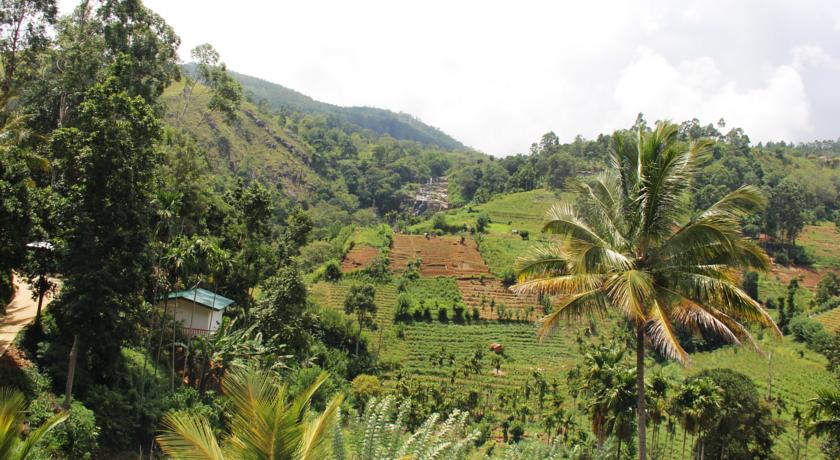 Фото 
Ella Treehouse Pearl
