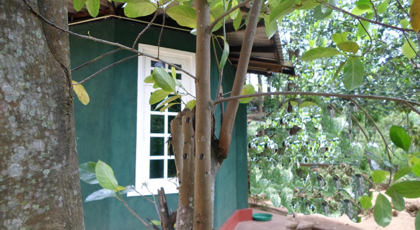 Фото 
Dew Lee Homestay
