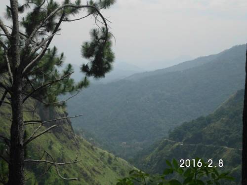 Фото 
The Residence
