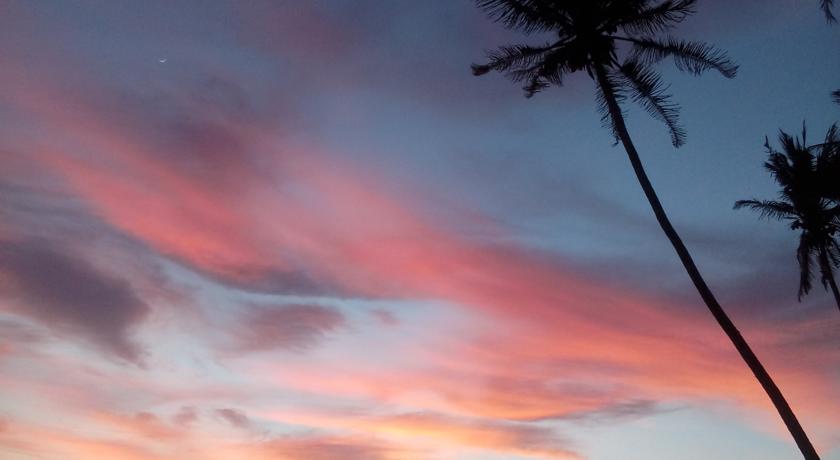 Фото 
Massimo Surf Planet
